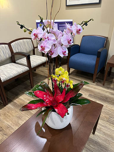 Orchid-waiting-room